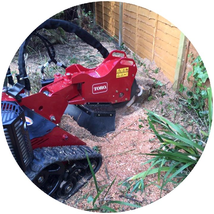 Hart tree removal scott