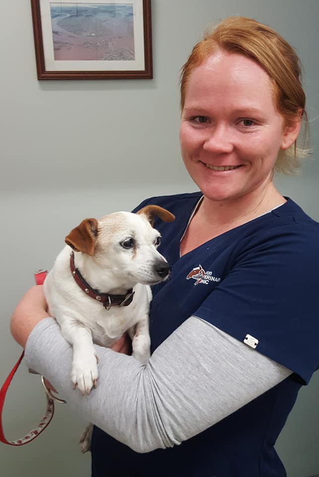 About Us Grafton Veterinary Clinic