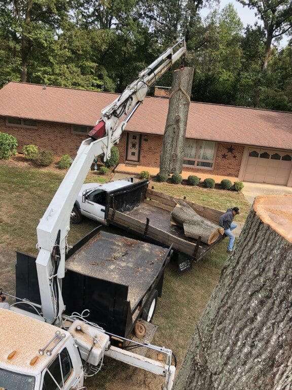 H & H Tree Service Tree Service New London, NC