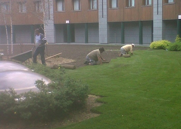 Uomini a lavoro