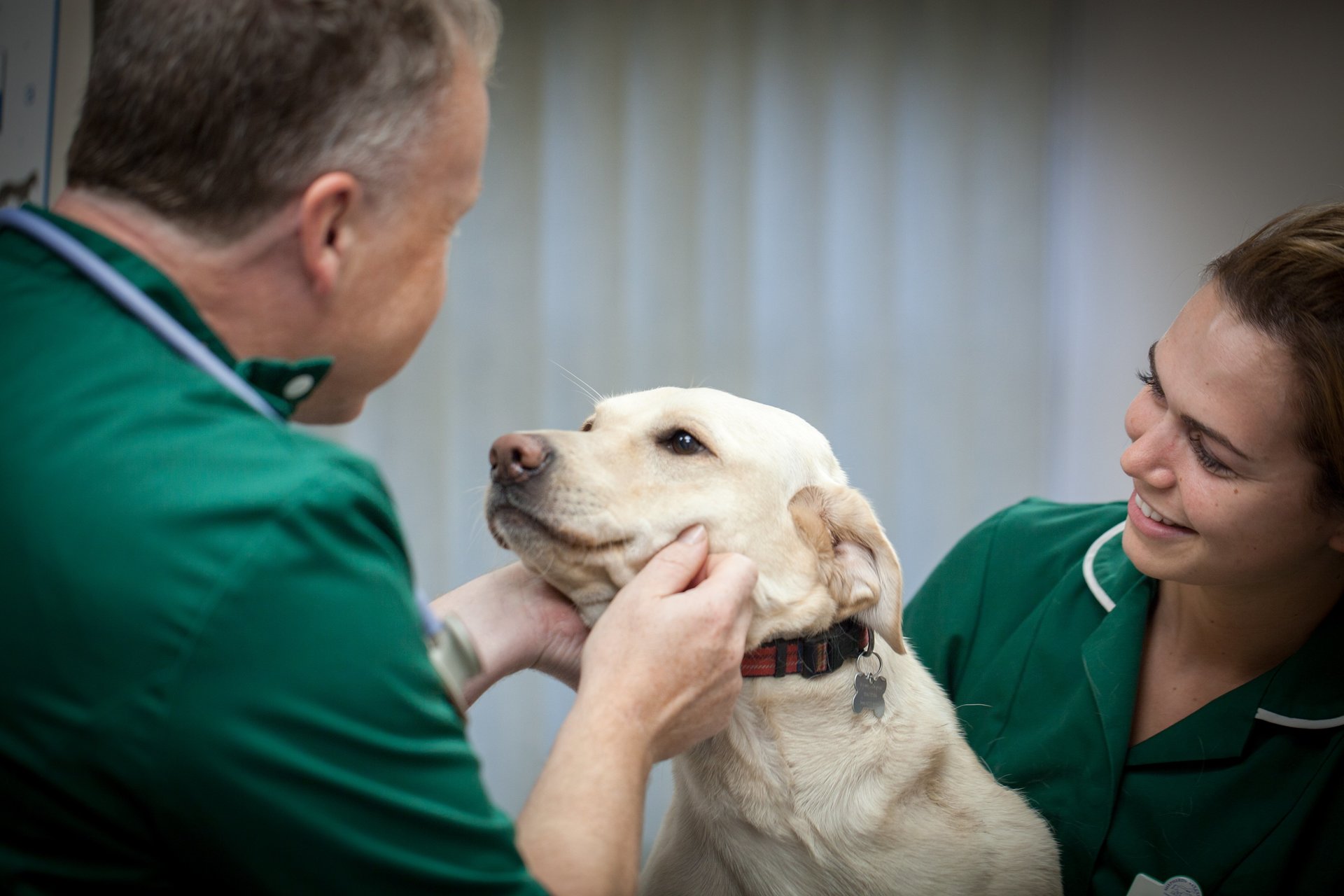Animal vaccinations Shepherds' Vets Centre Kidderminster