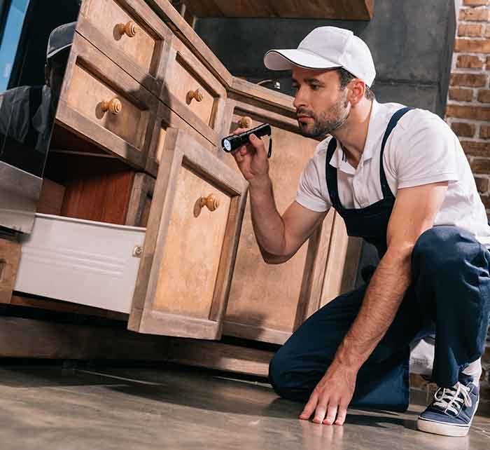 AAA One Pest Control | Exterminators in Fraser Coast
