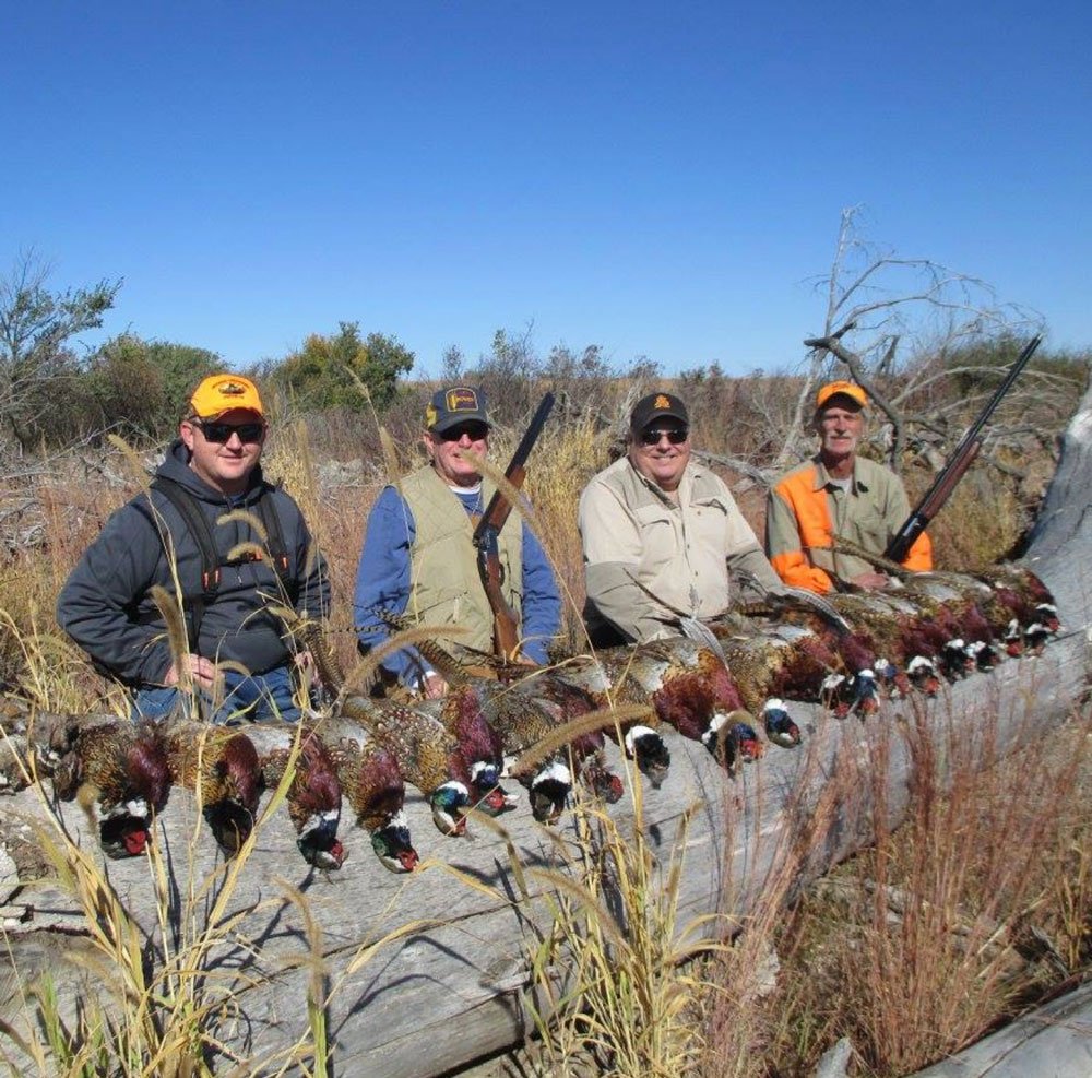 Kansas Pheasant Hunting with Outdoor Obsessions