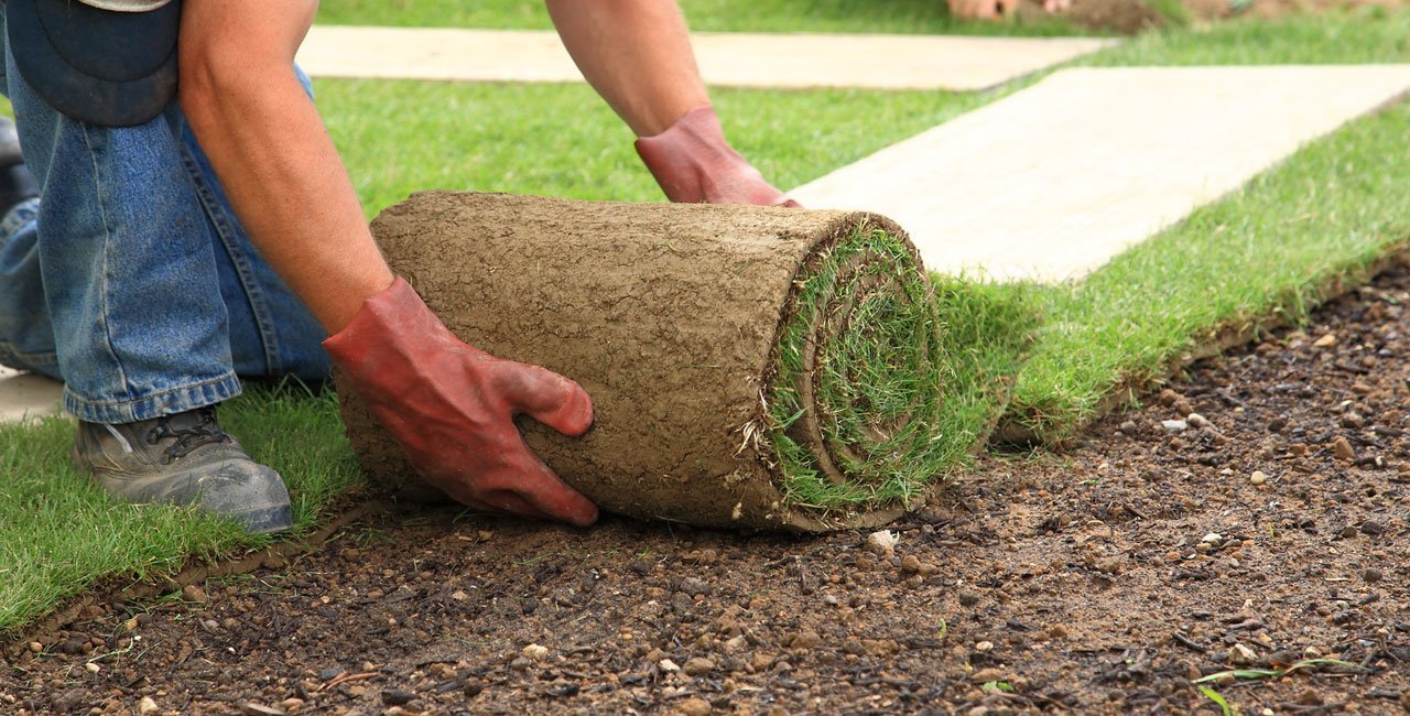 Haven Timber, High Quality, Hard Wearing Turf and Landscaping Products