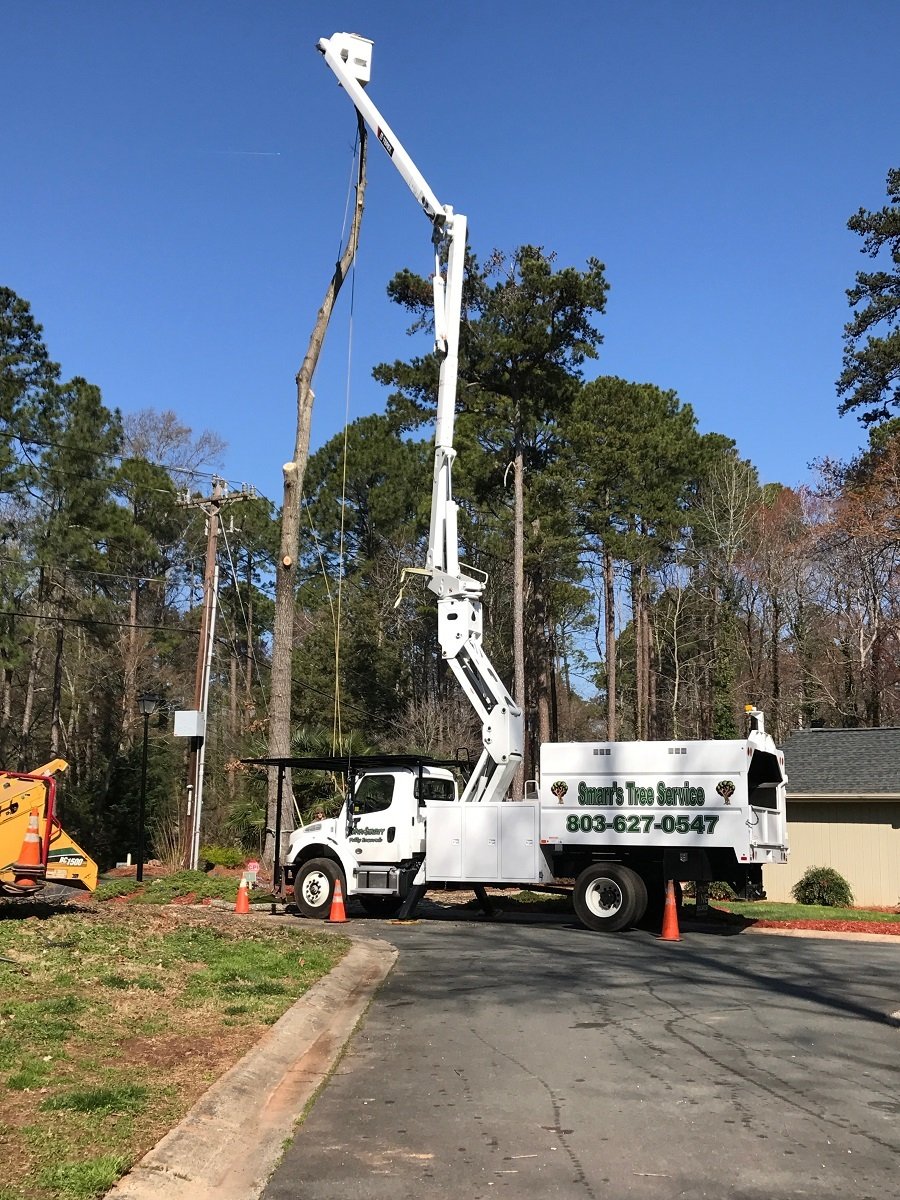 Tree Removal — York, South Carolina — Smarr's Tree Service LLC