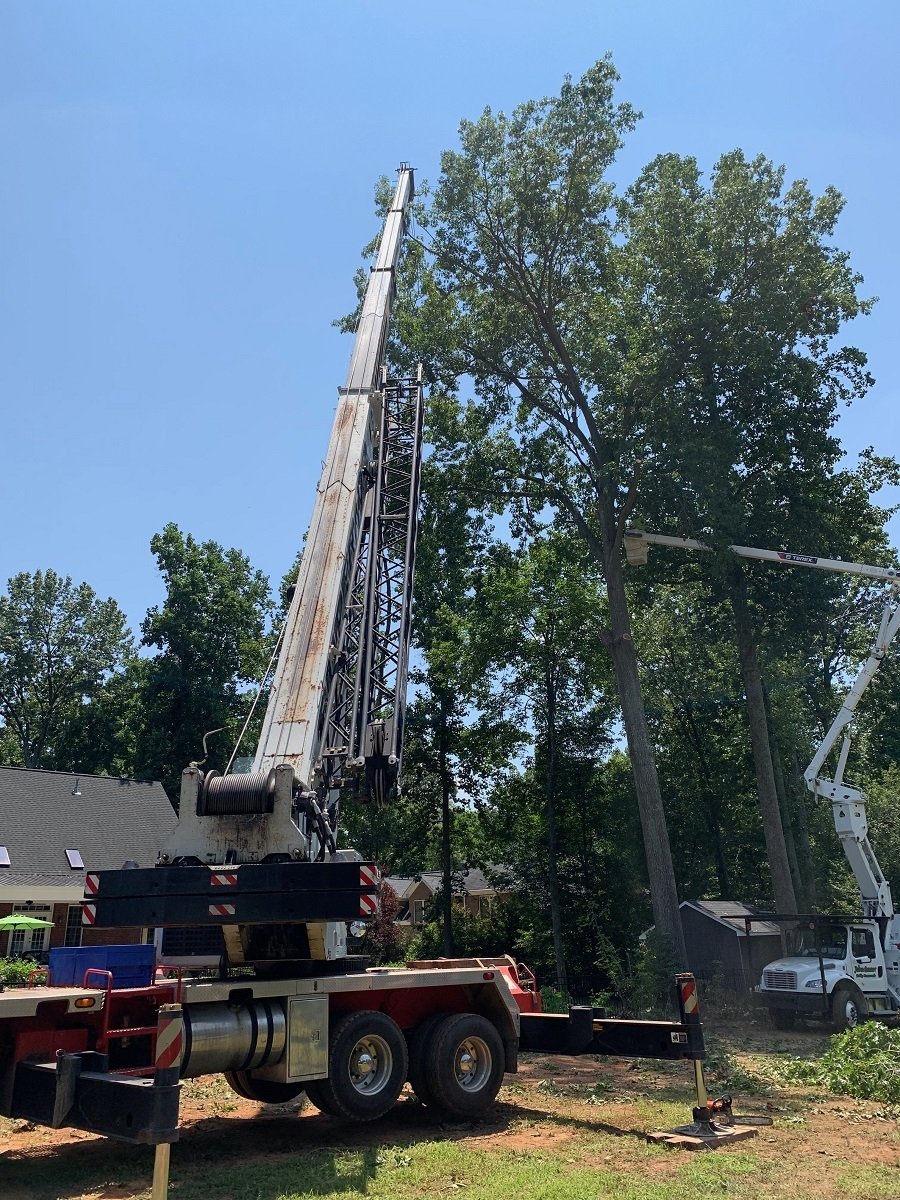 Tree Removal — York, South Carolina — Smarr's Tree Service LLC