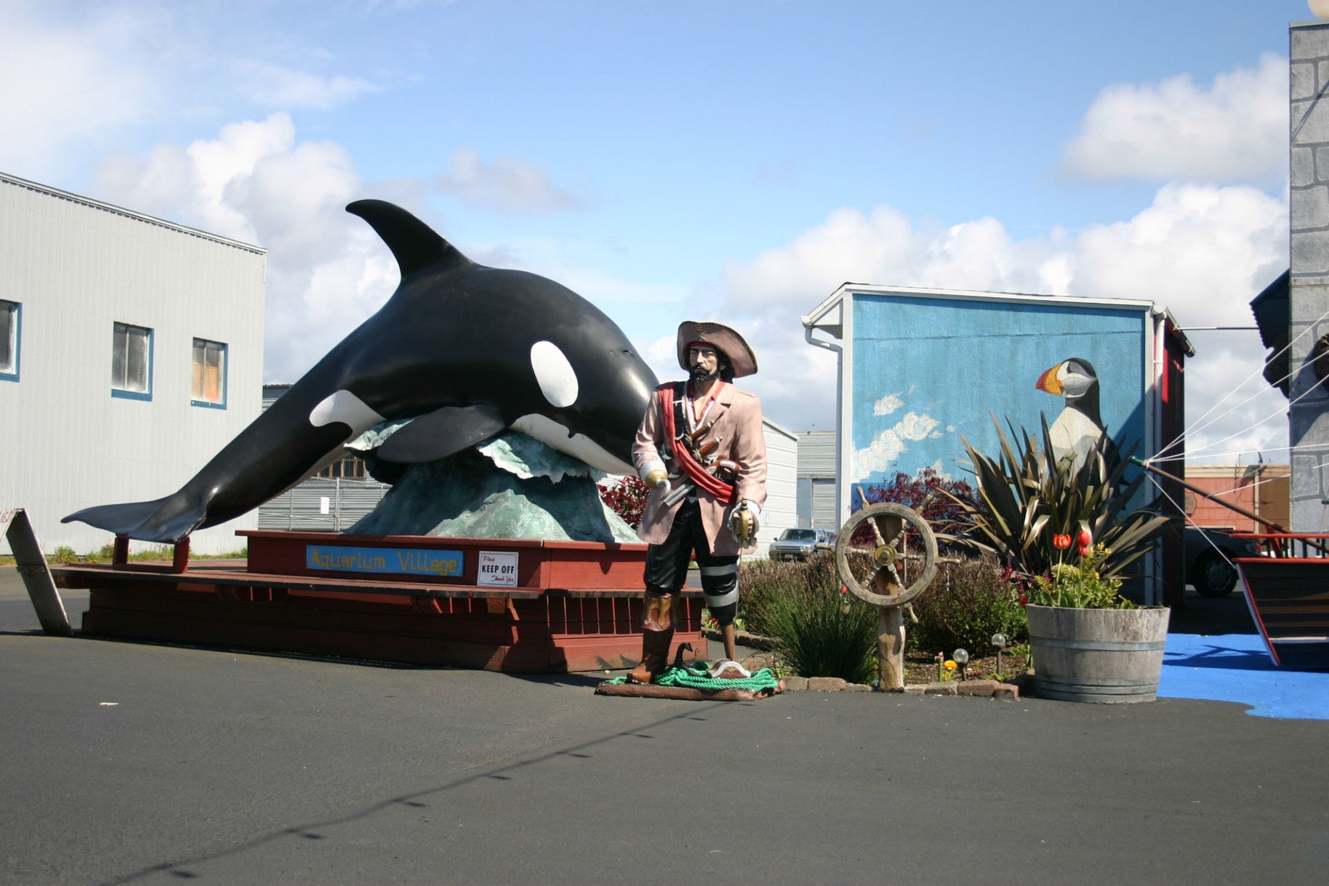 Aquarium Village Photo Gallery