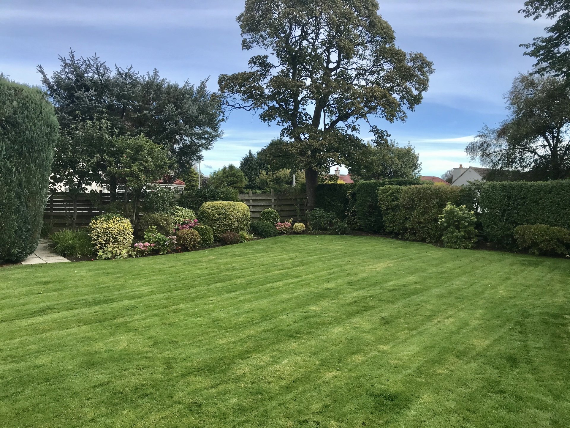 Garden maintenance De Rose Garden & Property Services