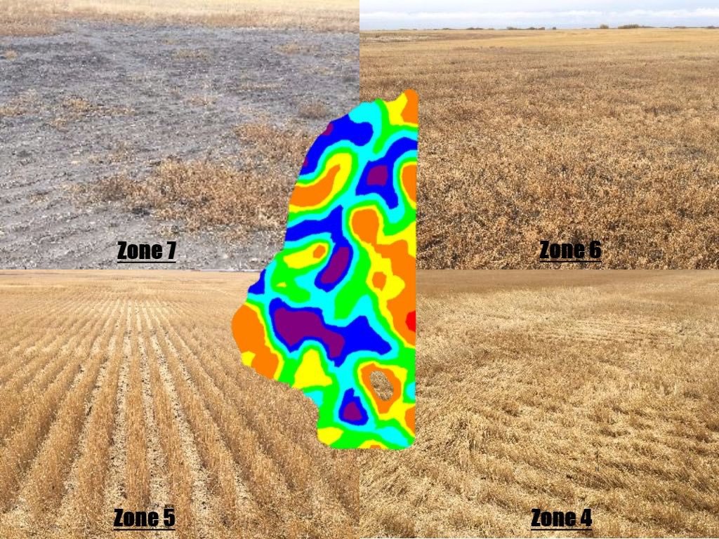 Precision Agriculture | Point Forward Solutions