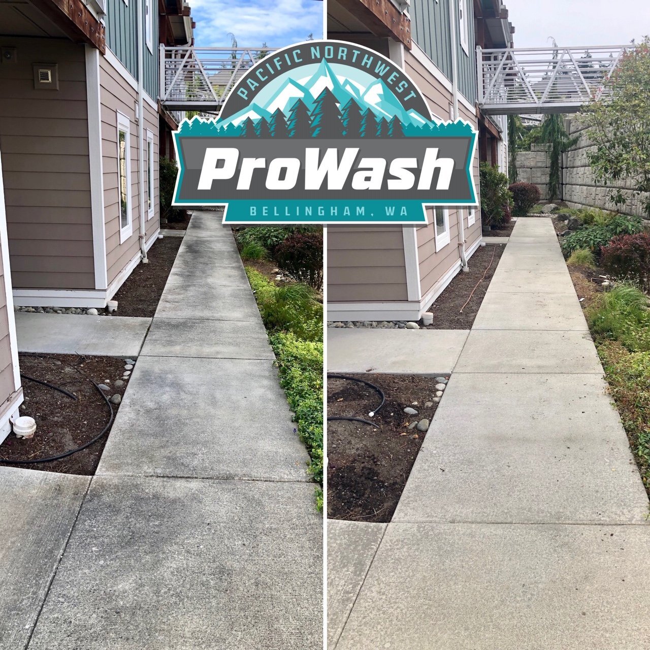 Roof Cleaning Bellingham WA Exterior Services Pacific NW ProWash