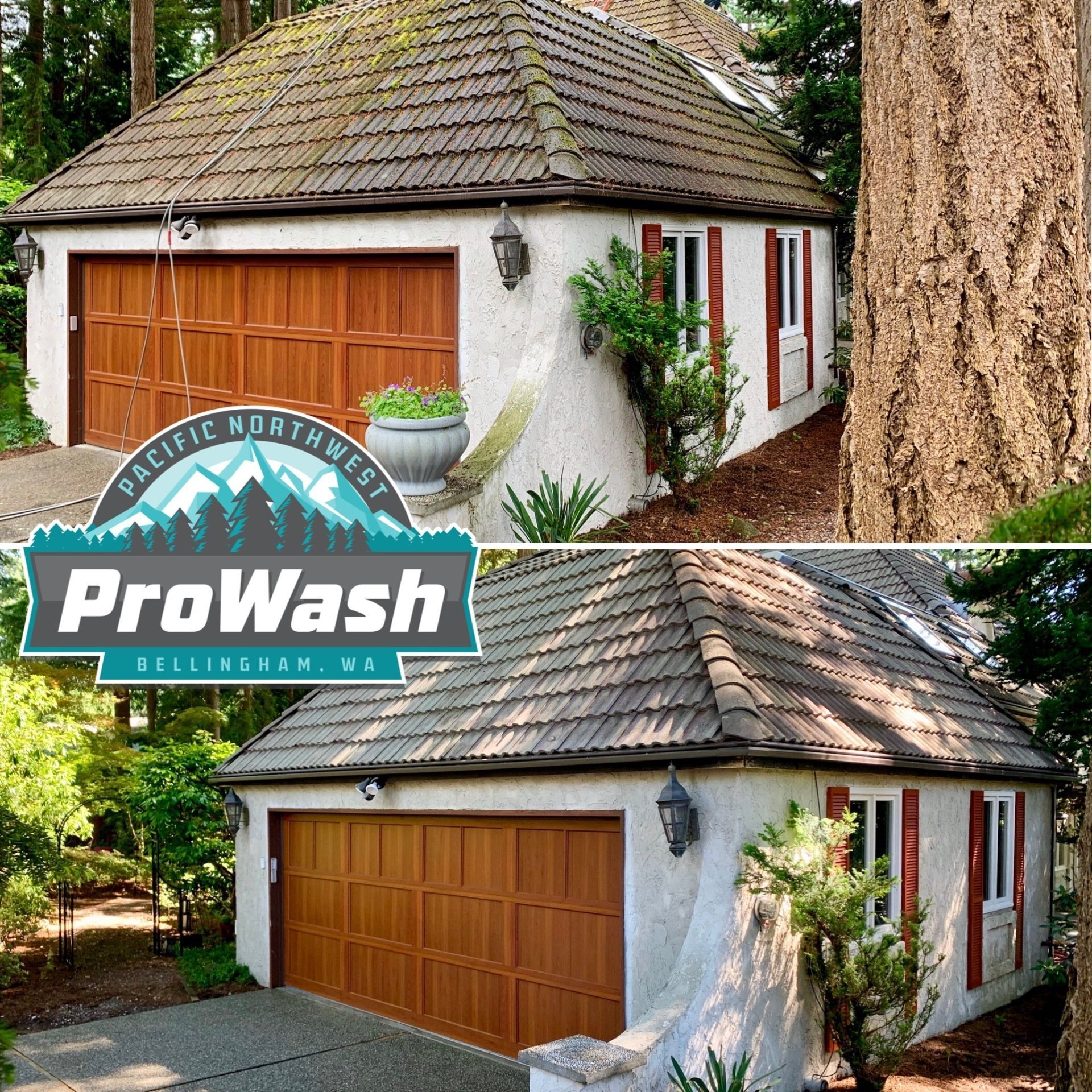 Roof Cleaning Bellingham WA Exterior Services Pacific NW ProWash