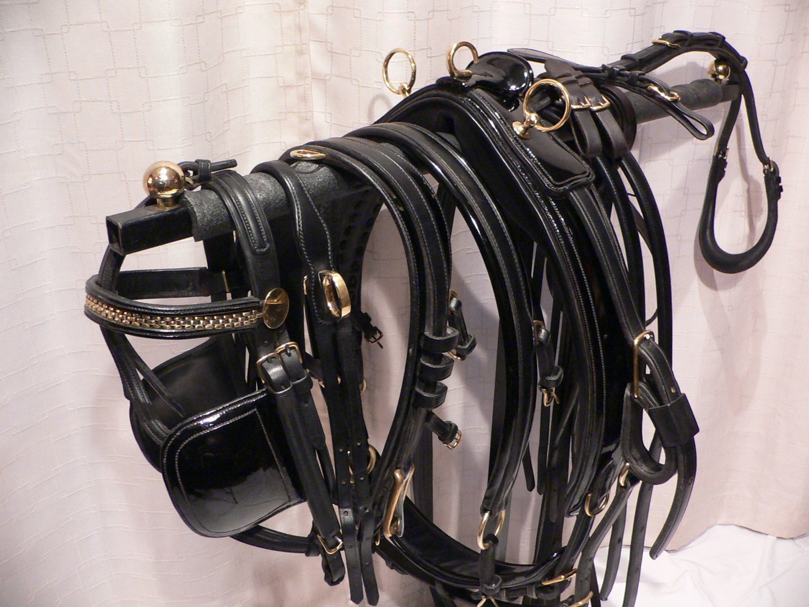 In Stock Harness Specials