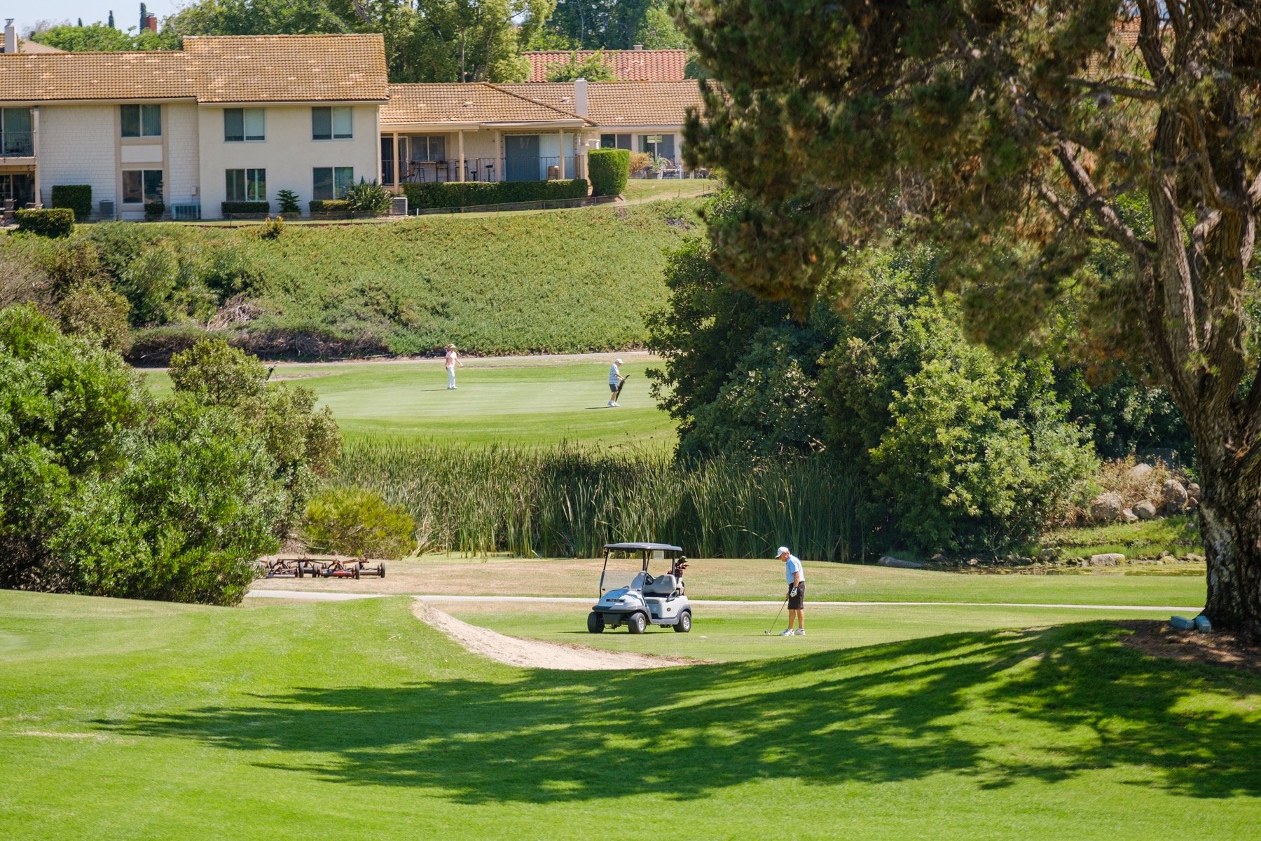 San Diego Apartments for Rent Rancho Bernardo Hills Area