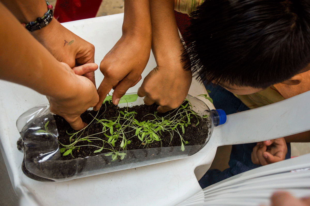 A group planting plants in a reused water bottle