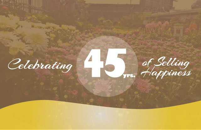 Garden Center San Francisco, CA | House Plants & Christmas Trees