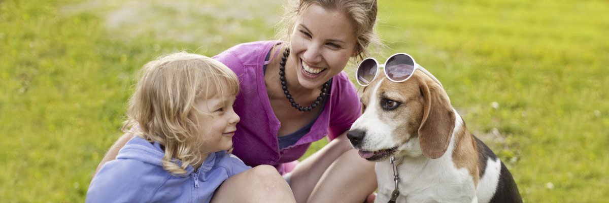 Termite control Buderim