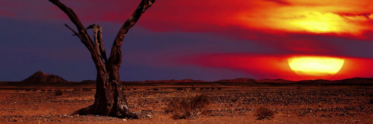 Termite control Maroochydore