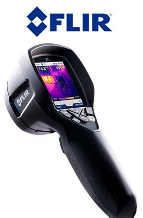 termite experts sunshine coast