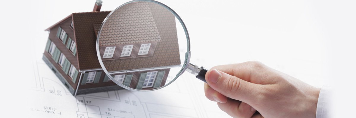 Termite inspection Noosa