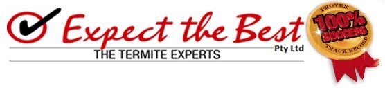 Termite Control in Buderim, Caloundra, & Maroochydore