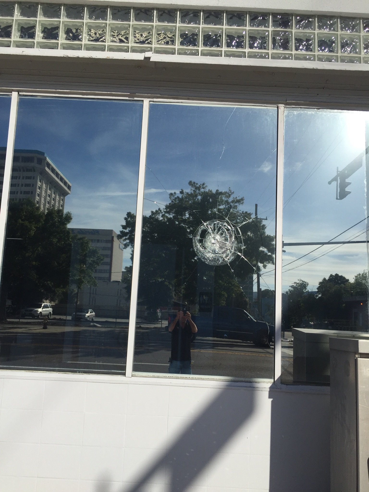 solar and security window film