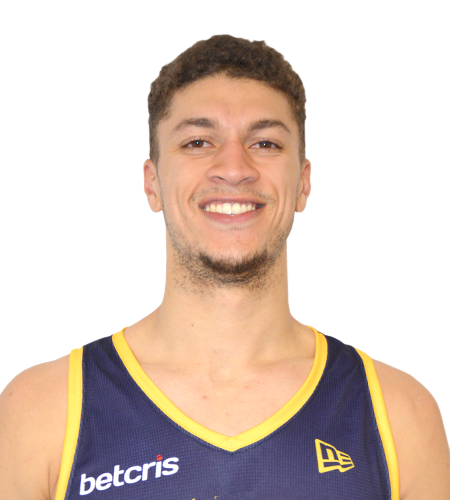 Edmonton Stingers Professional Basketball