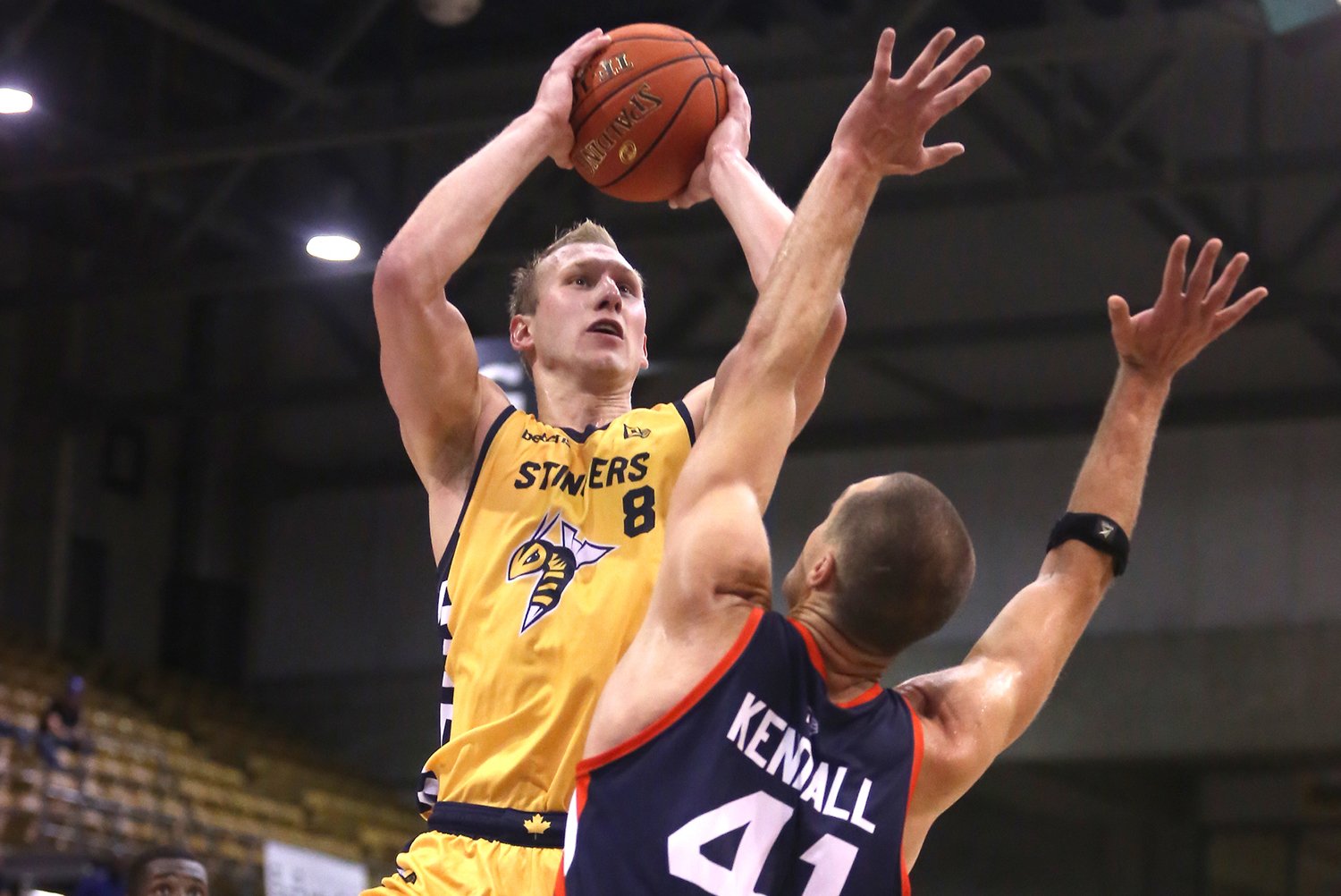 Edmonton Stingers Professional Basketball