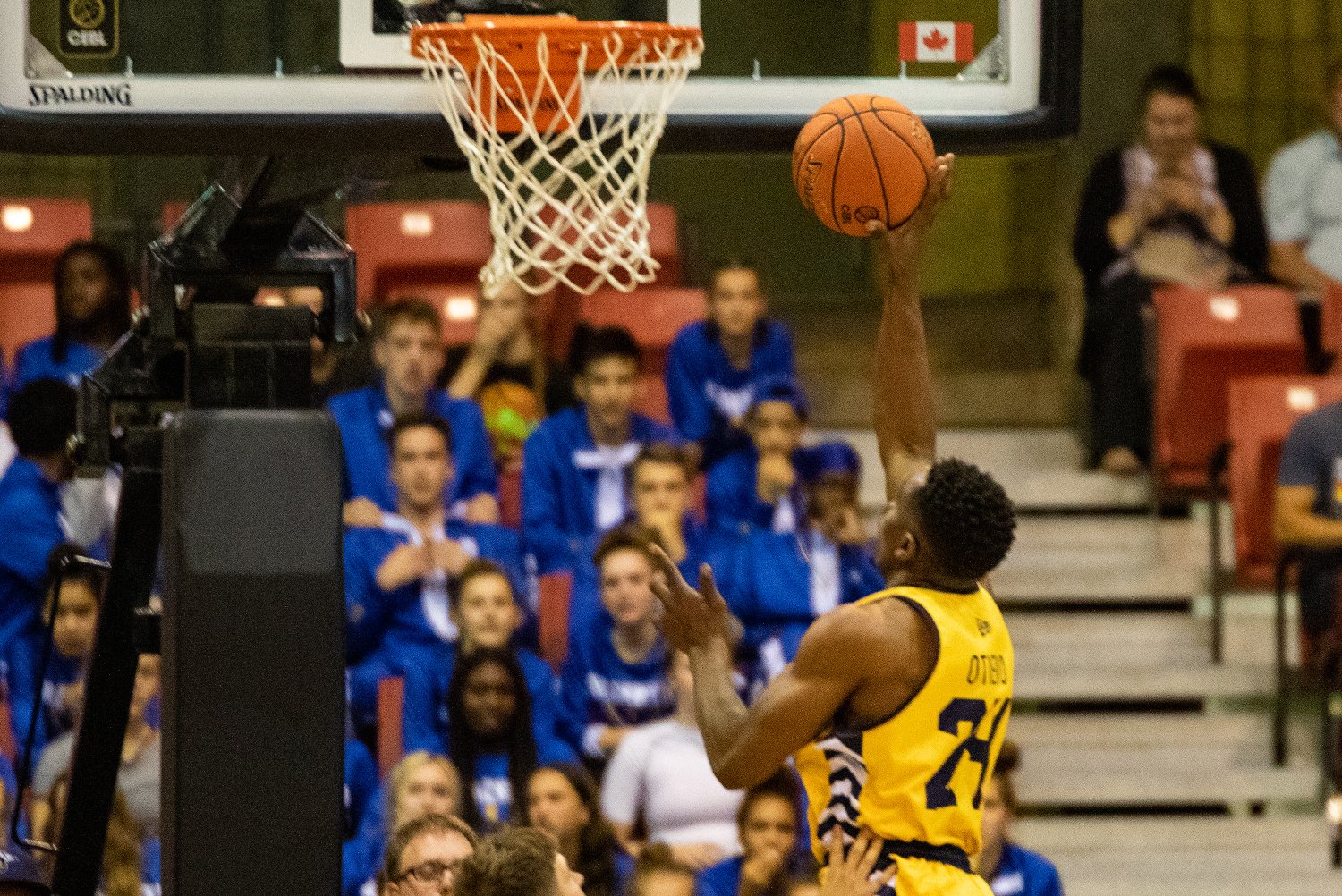 edmonton-stingers-professional-basketball