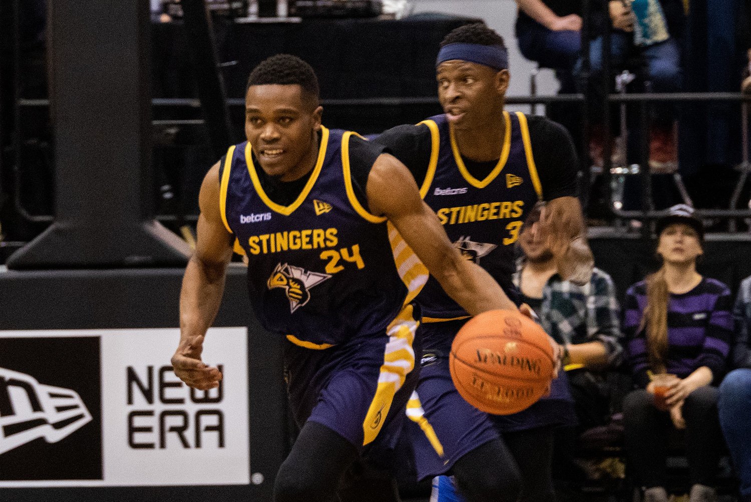 edmonton-stingers-professional-basketball