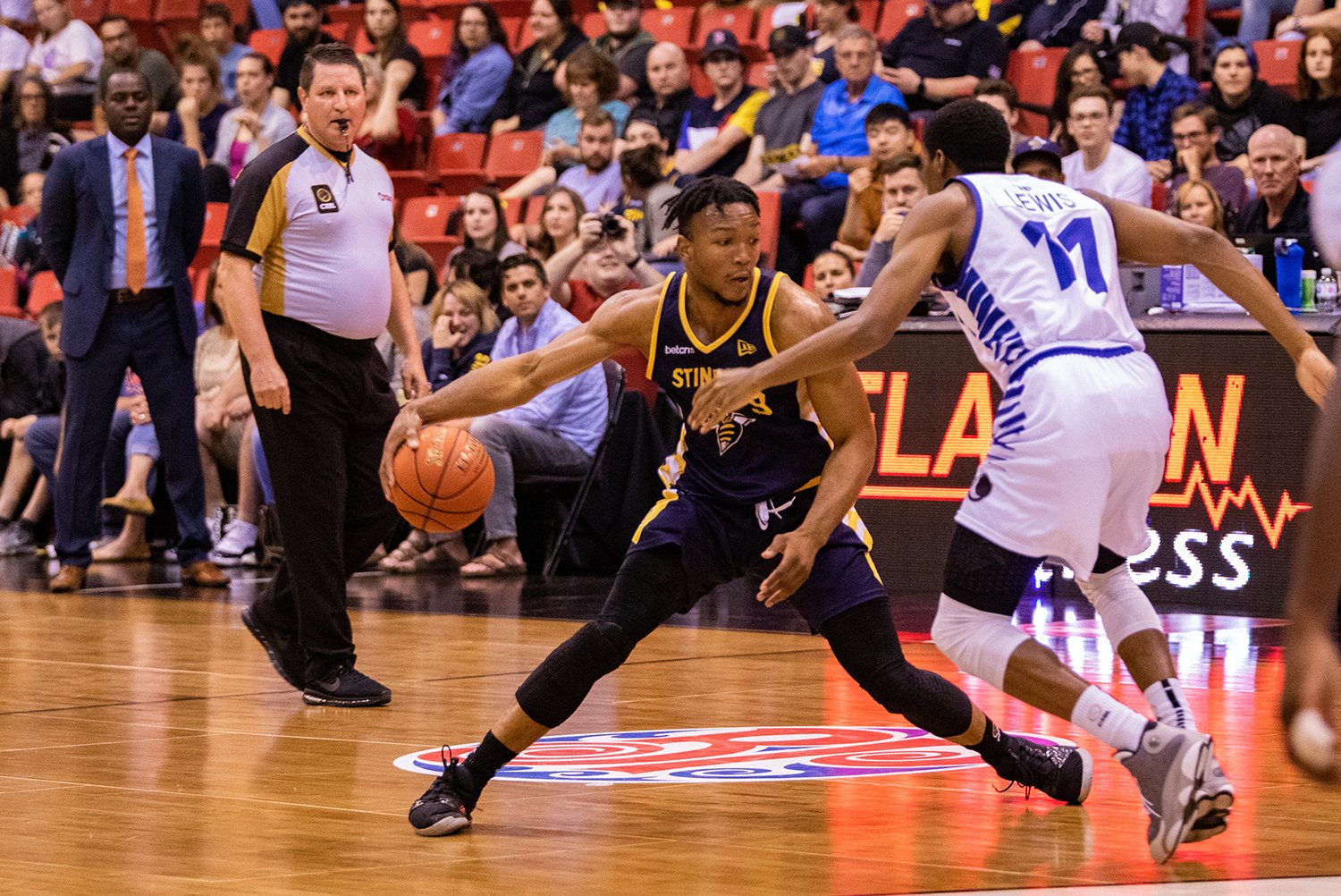 edmonton-stingers-professional-basketball
