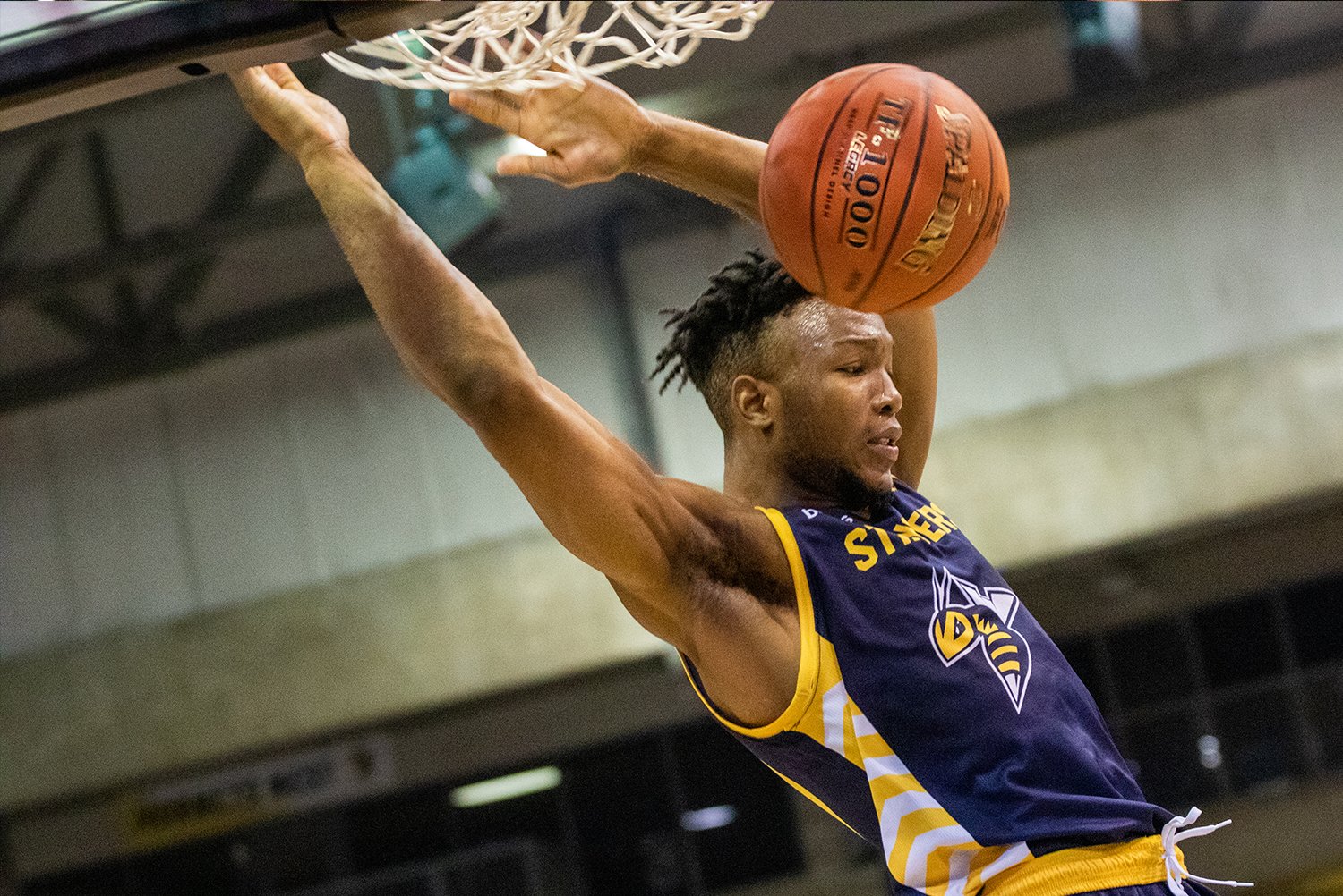 edmonton-stingers-professional-basketball