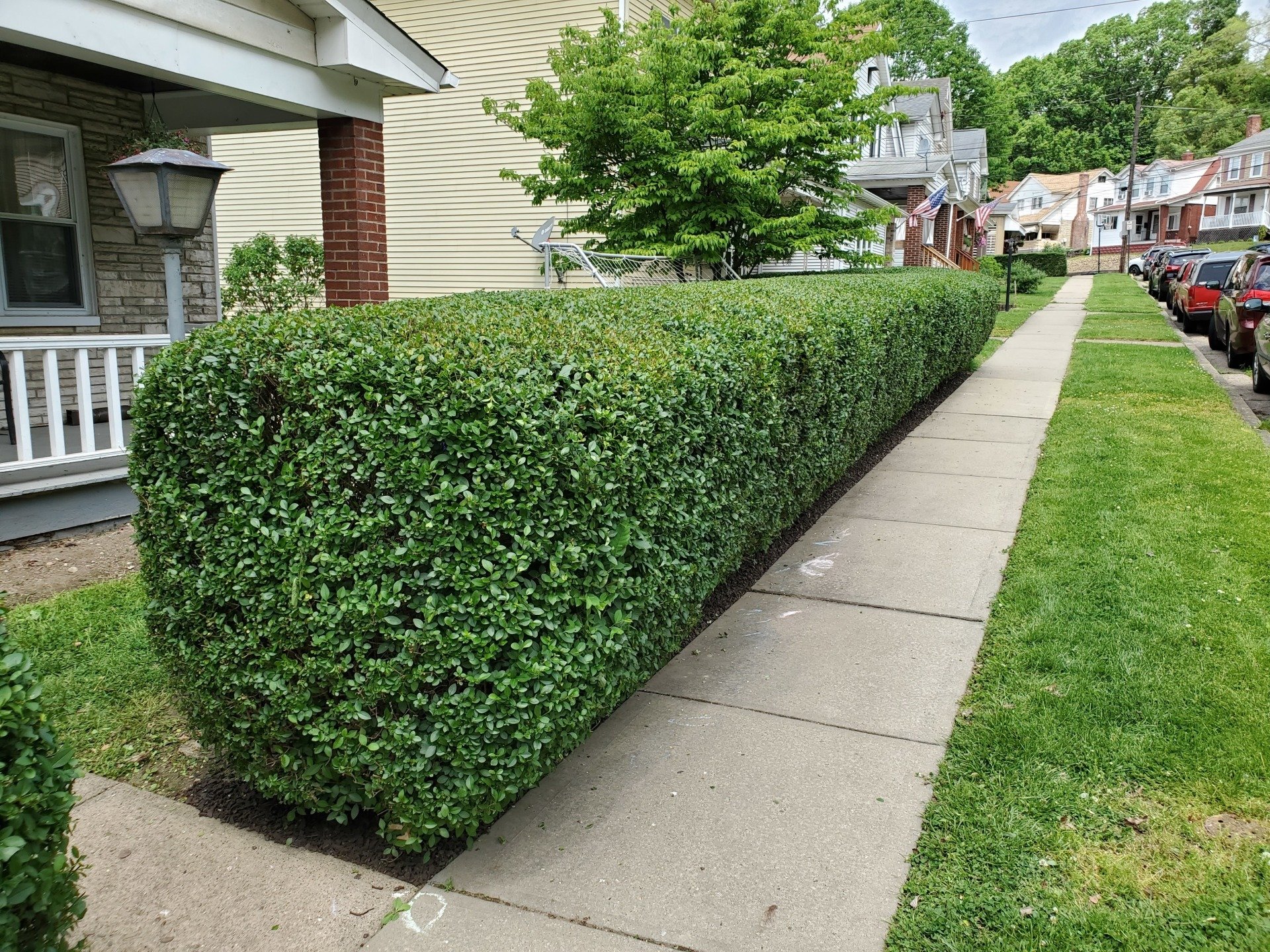 Lawn & Shrub Care Pittsburgh, PA Solid Contracting LLC