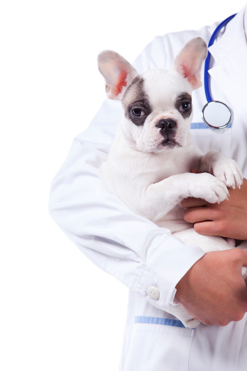 Contact us 7 days a week Contact us 7 days a week