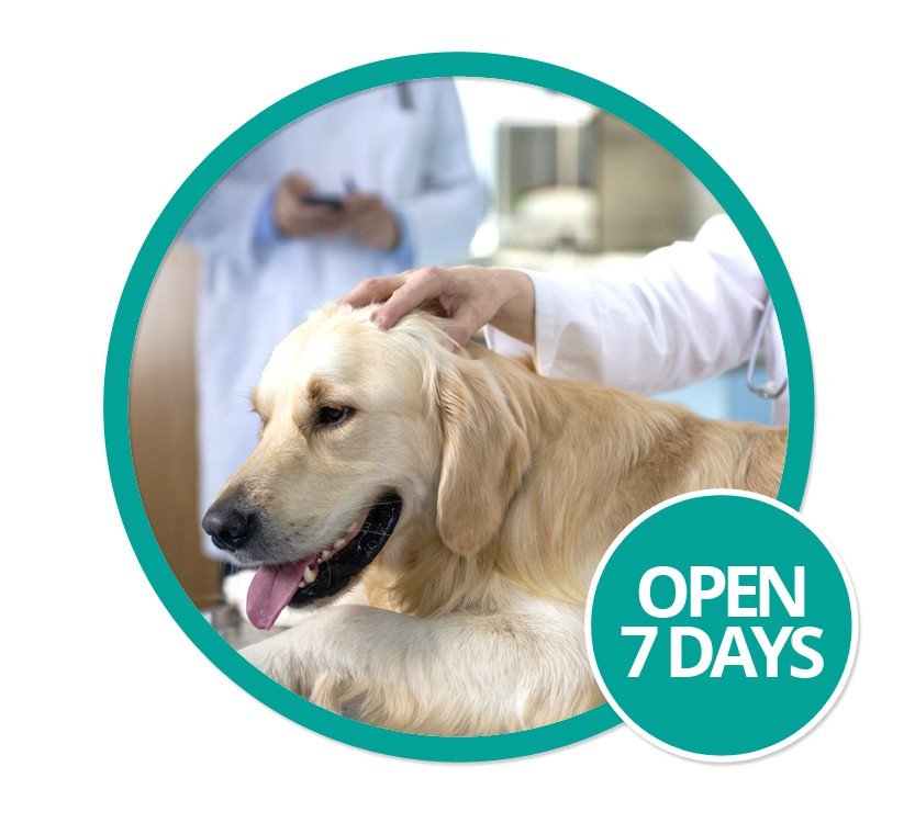 Pet care open 7 days Pet care open 7 days