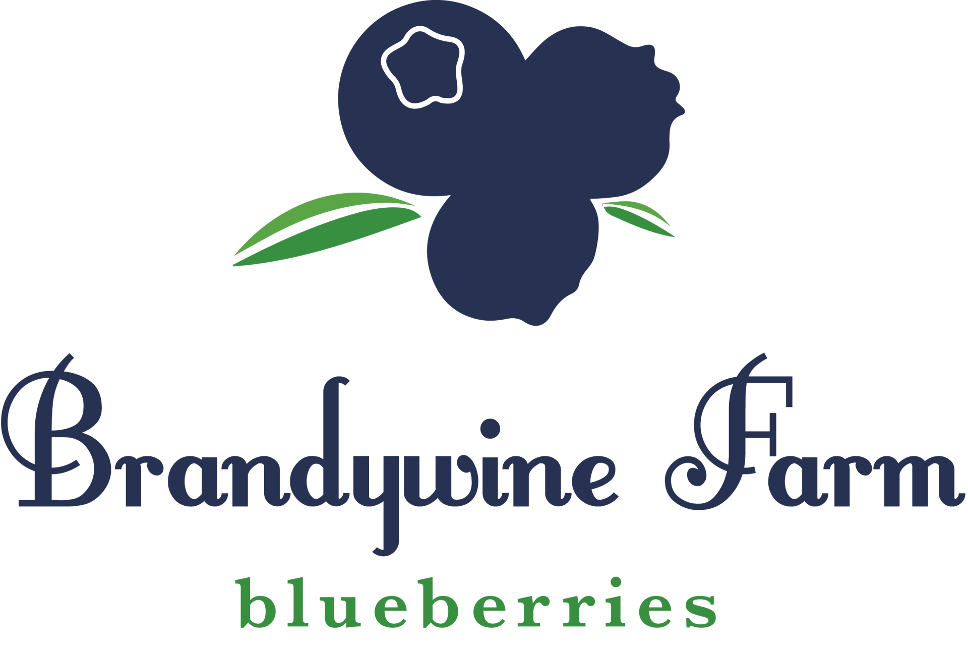 History Brandywine Farms Blueberries