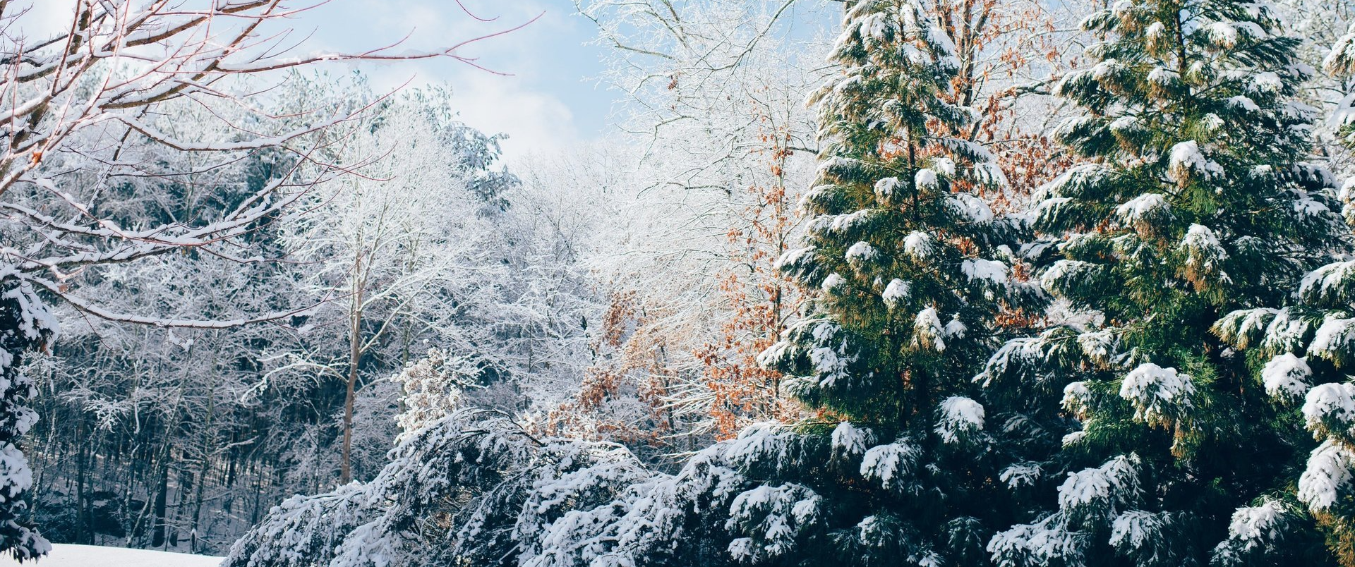 Winter Septic Maintenance Tips from Clean Earth Septic Service