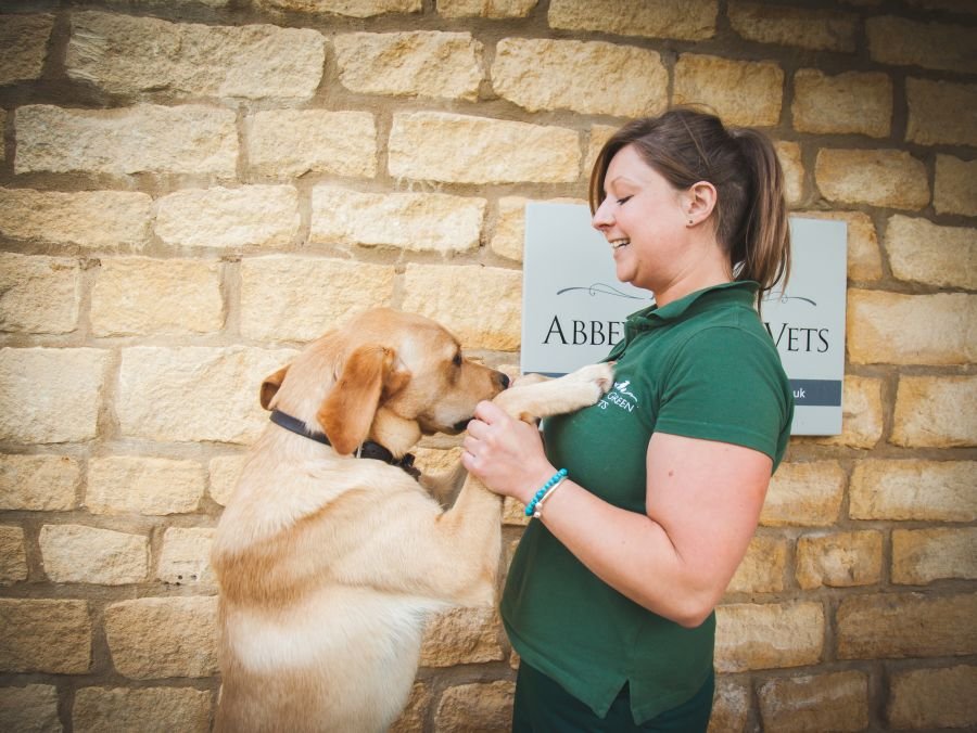 Abbey Green Vets