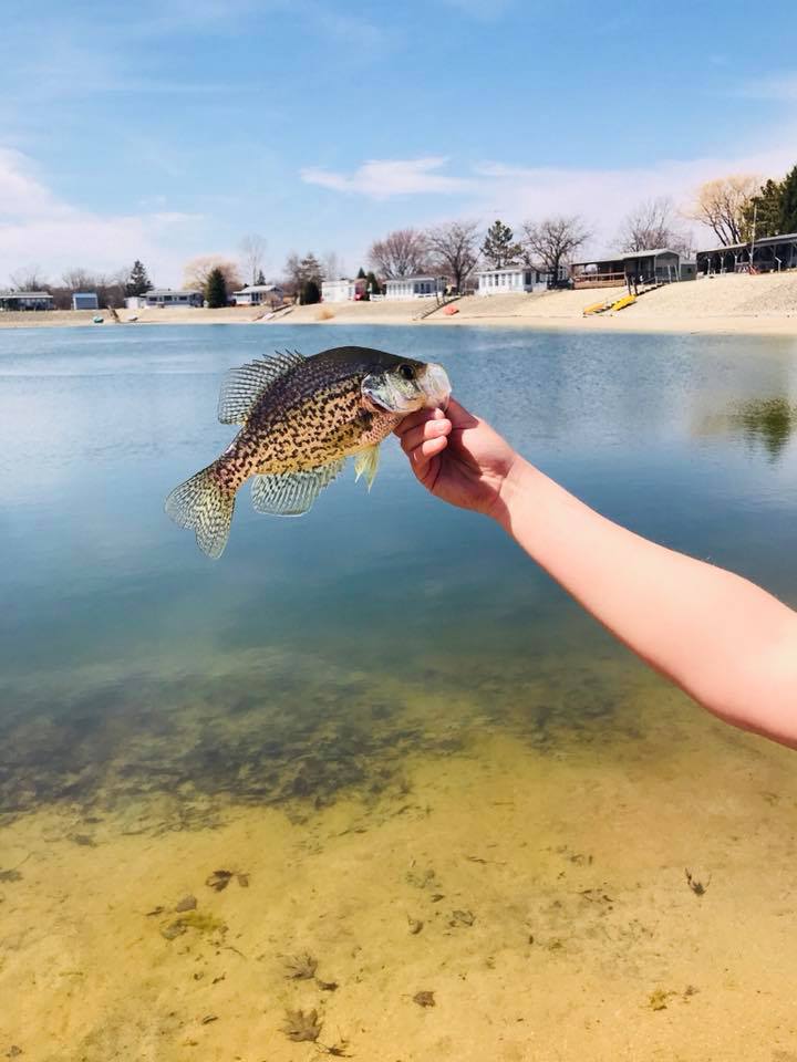 Willow Run Resort Elkhorn, WI