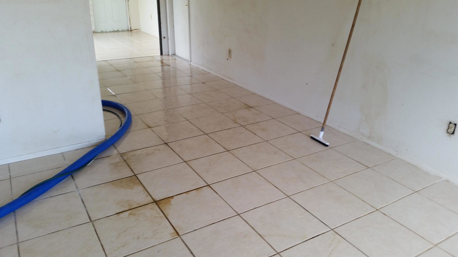 Our Cleaning Projects Venice, FL Superior Carpet & Upholstery Cleaning