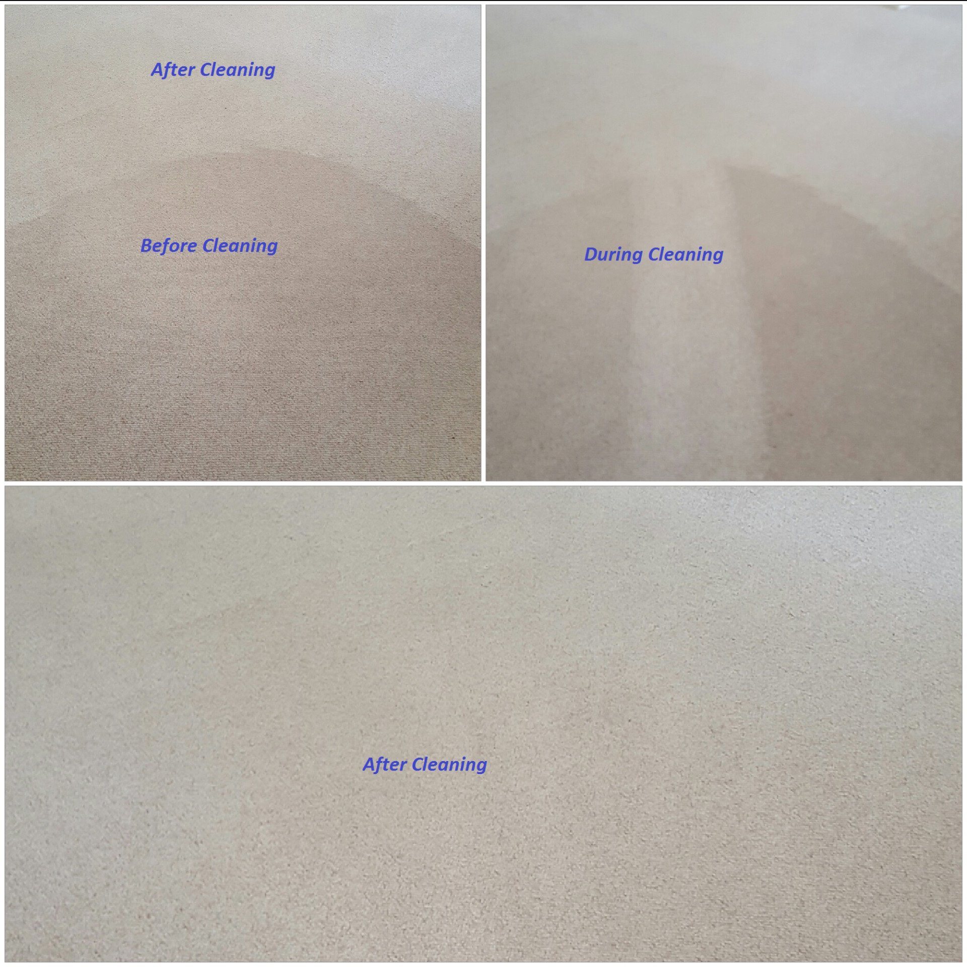 Our Cleaning Projects Venice, FL Superior Carpet & Upholstery Cleaning