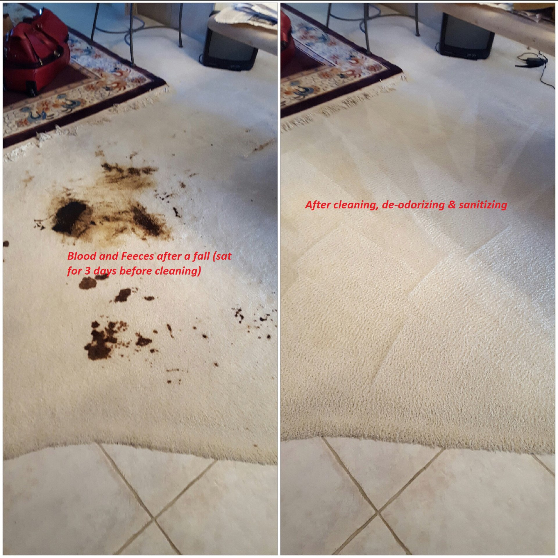 Our Cleaning Projects Venice, FL Superior Carpet & Upholstery Cleaning