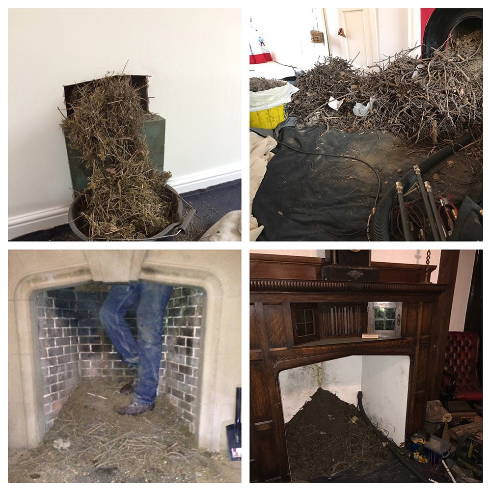 Chimney bird guards and nest removal Leeds, Bradford, West Yorkshire Four Seasons Chimney Sweep