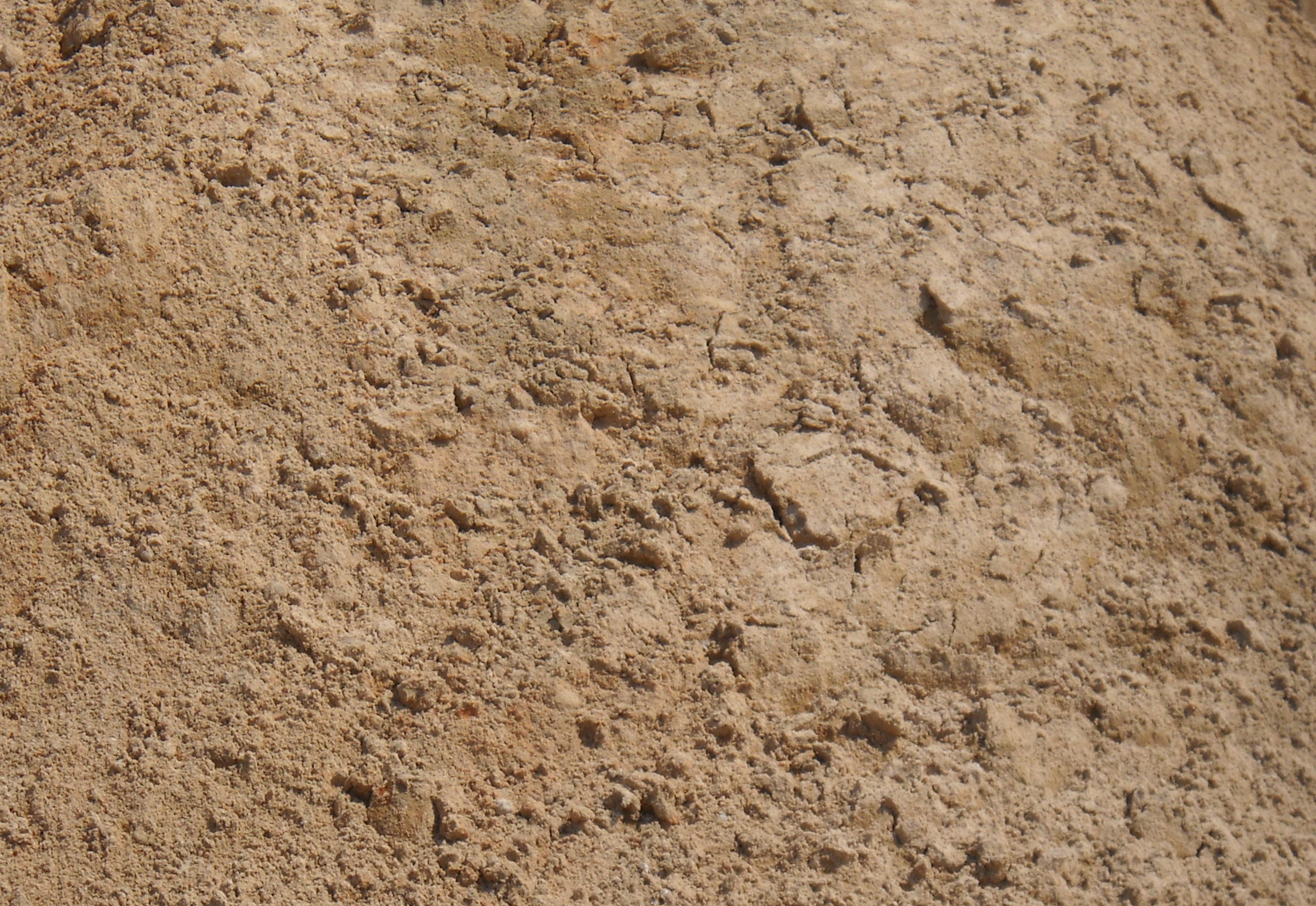 Willingham Construction, 8506781874