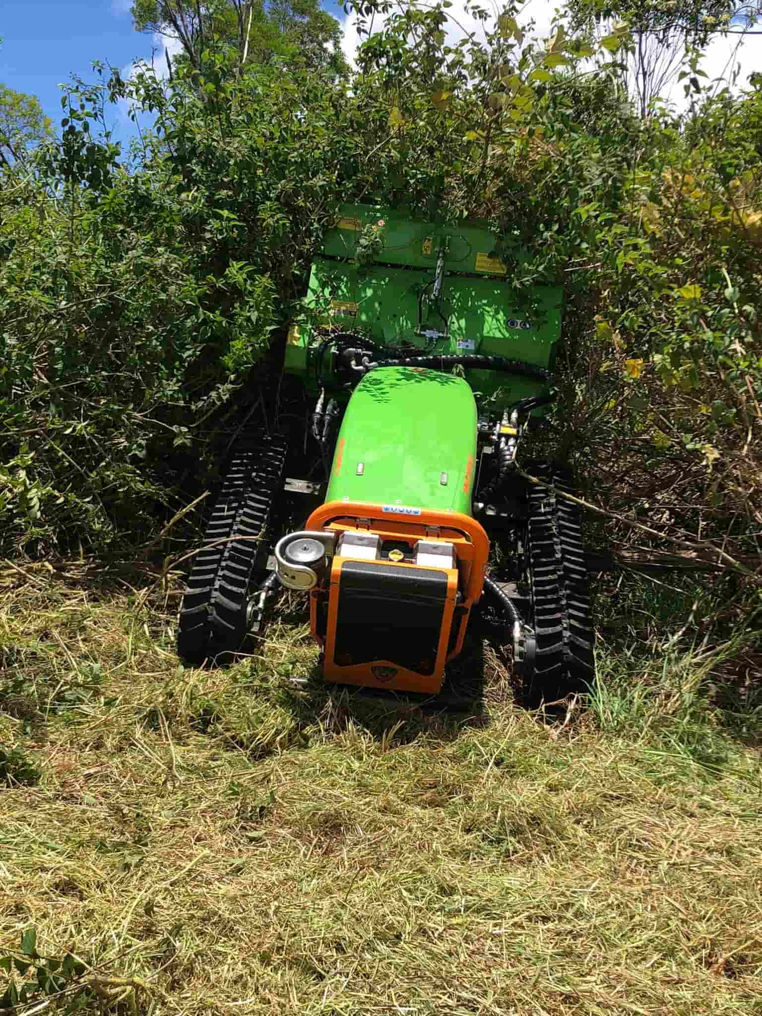 Land Clearing Extreem Green Clearing & Maintenance