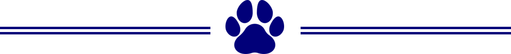 Cat Groomer Dayton OH Kenzie s K9 Design Pet Grooming