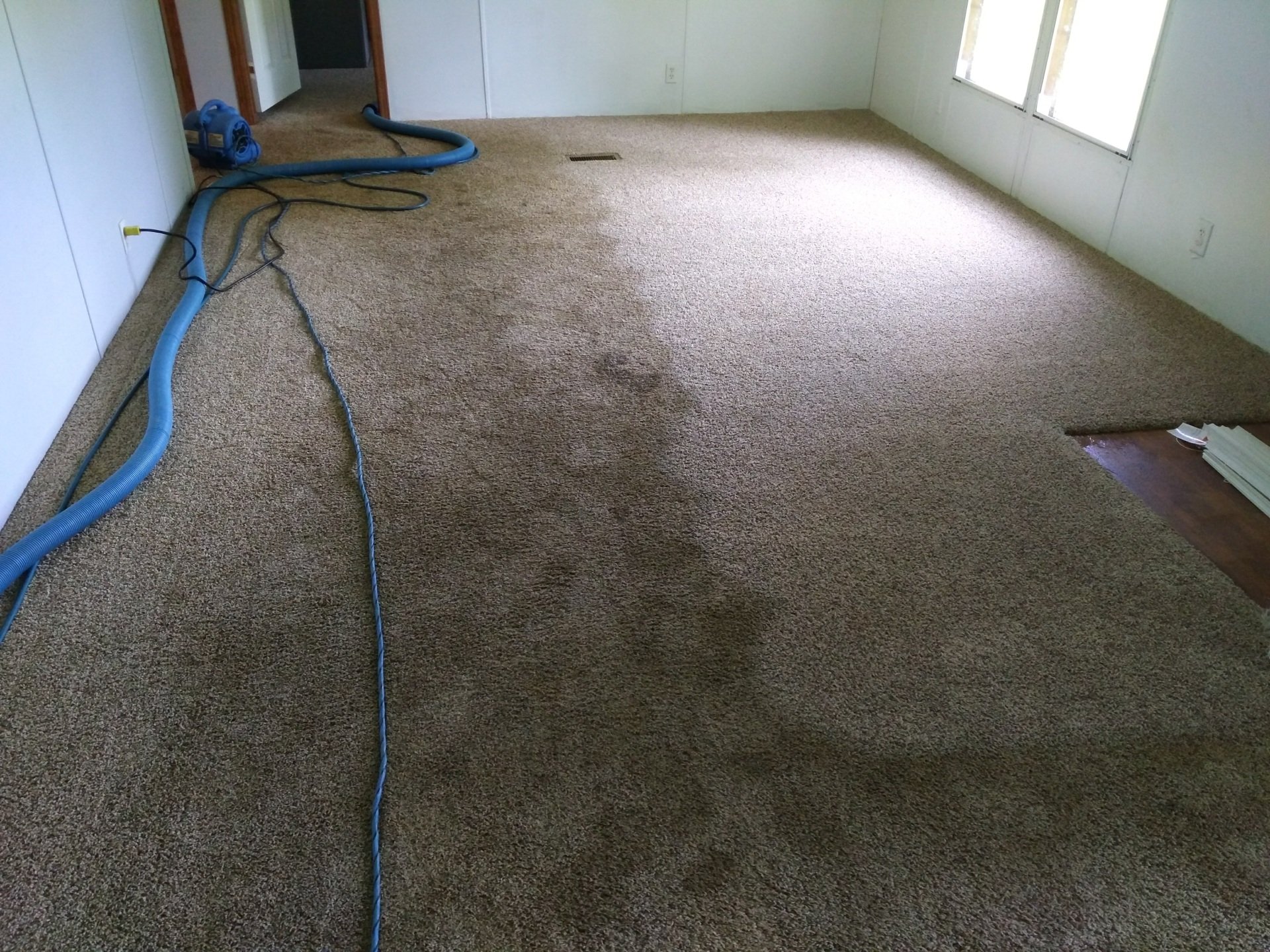 carpet cleaning service photos Gallatin, TN Master’s Touch Cleaning