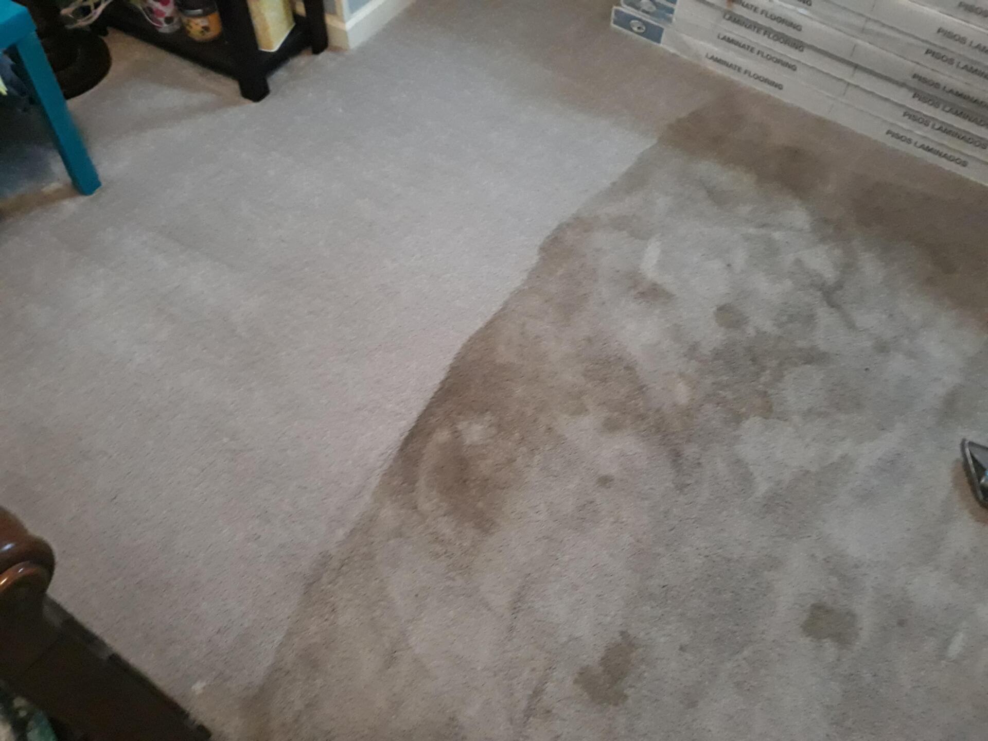 carpet cleaning service photos Gallatin, TN Master’s Touch Cleaning
