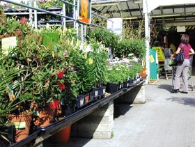 Garden Centre in Washington | Clay's Garden