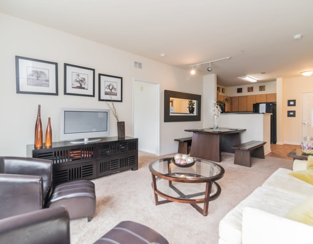 Westville Village Apartments New Haven CT Apartments for Rent