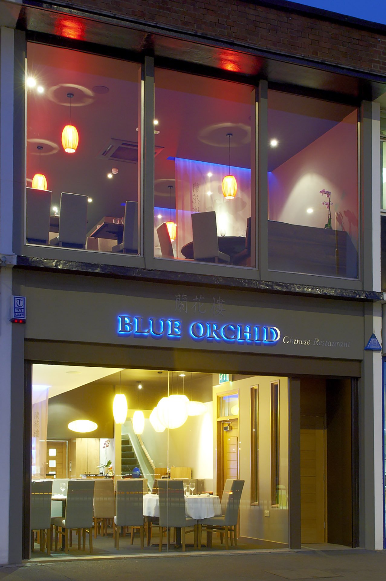 Blue Orchid Brand Identity Q&A Interior Design Cheltenham